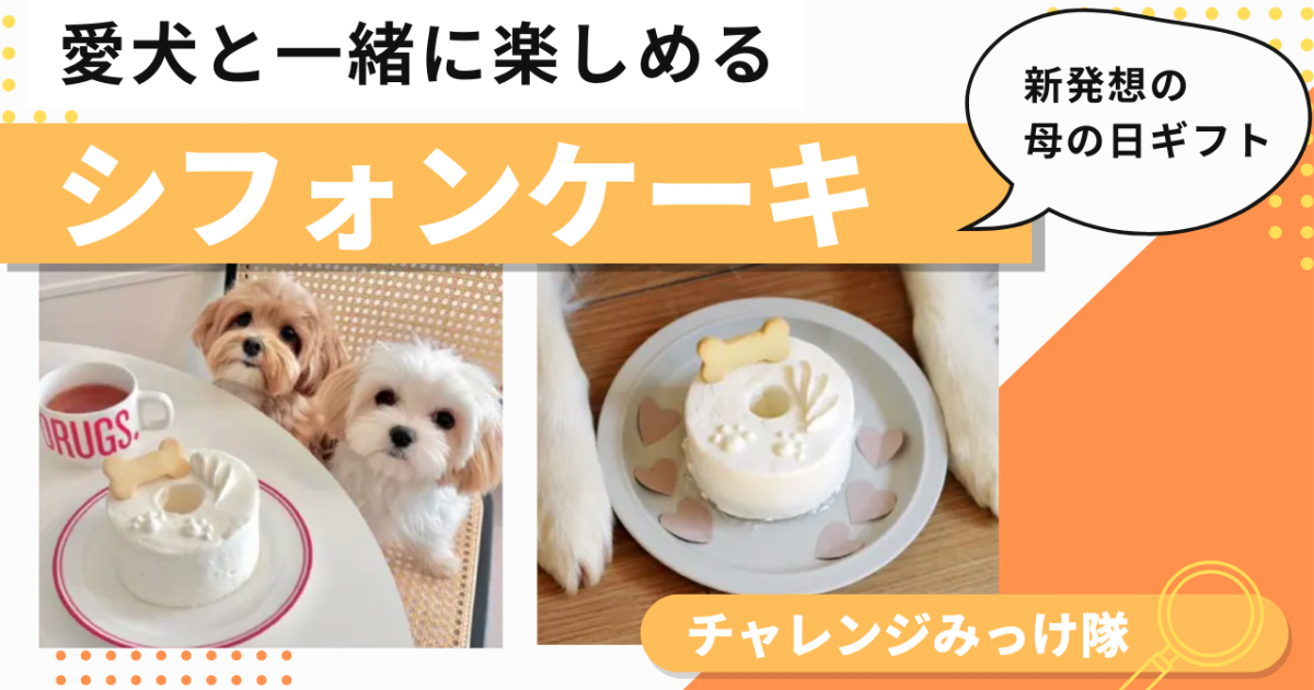 新発想！愛犬と一緒に楽しめるシフォンケーキみっけ