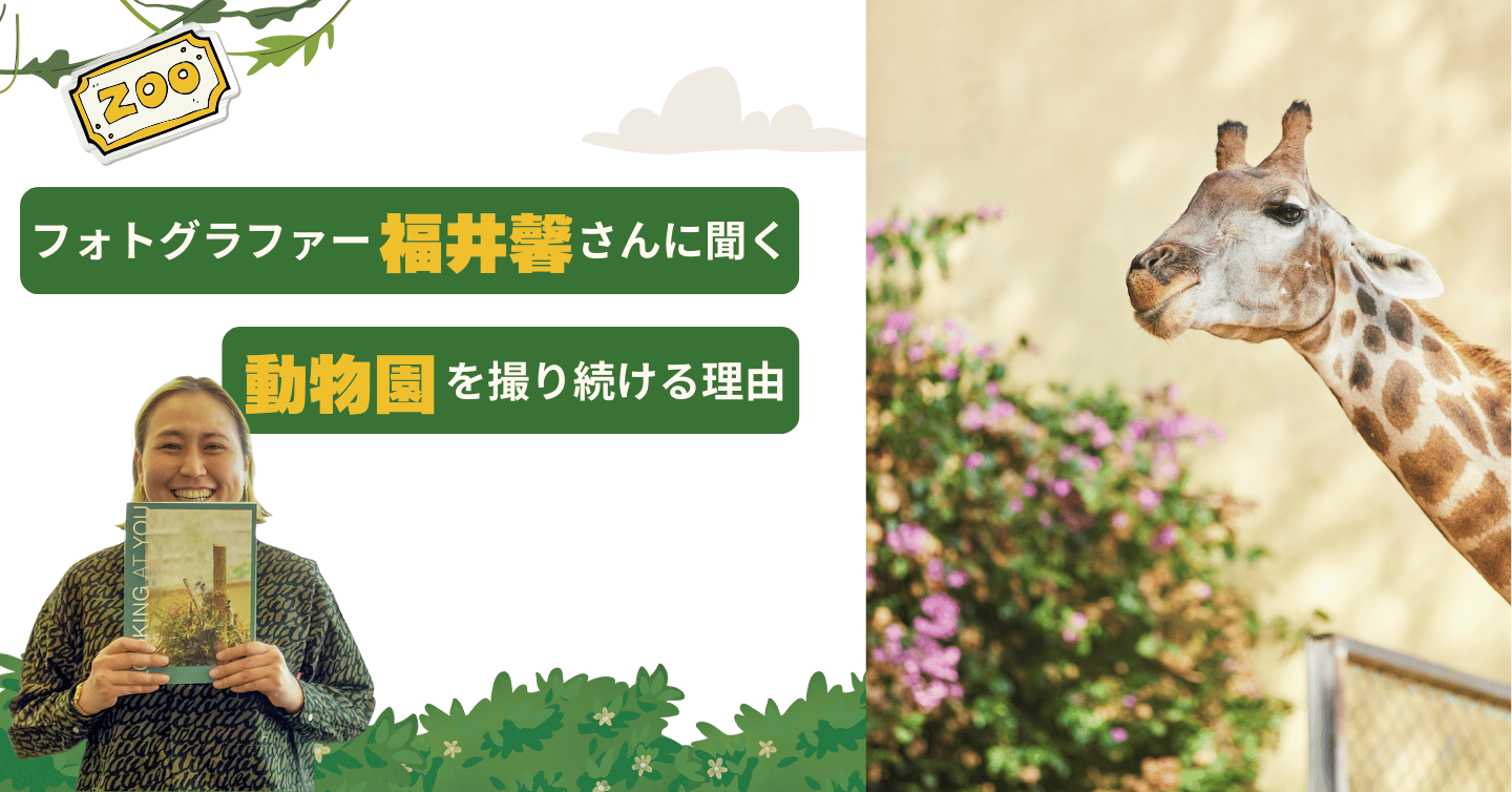 ライフワークを見つけたのは、摩天楼を背にドヤ顔をキメたニホンザルとの出会い