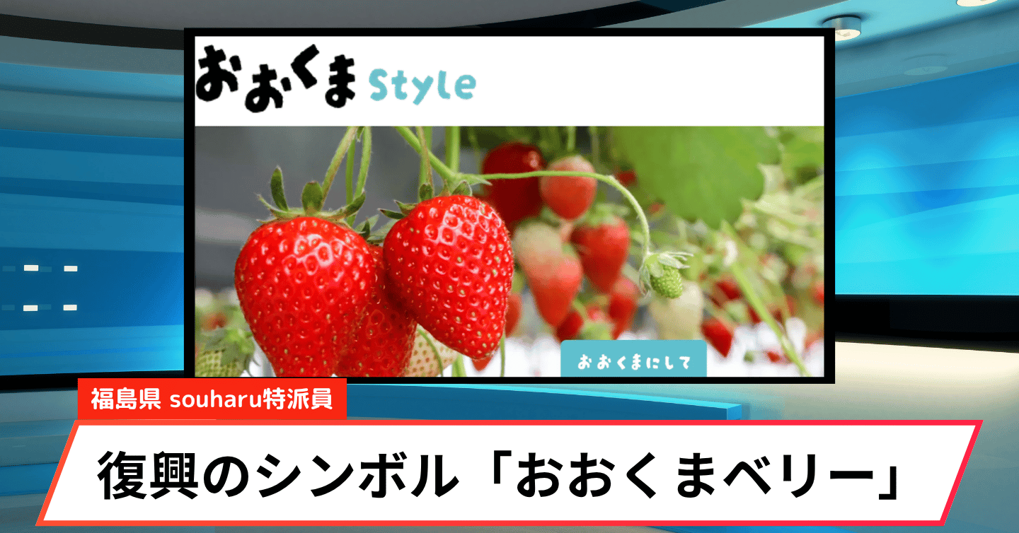 福島・大熊町のいちご「おおくまベリー」がつなぐ、復興と新しい魅力