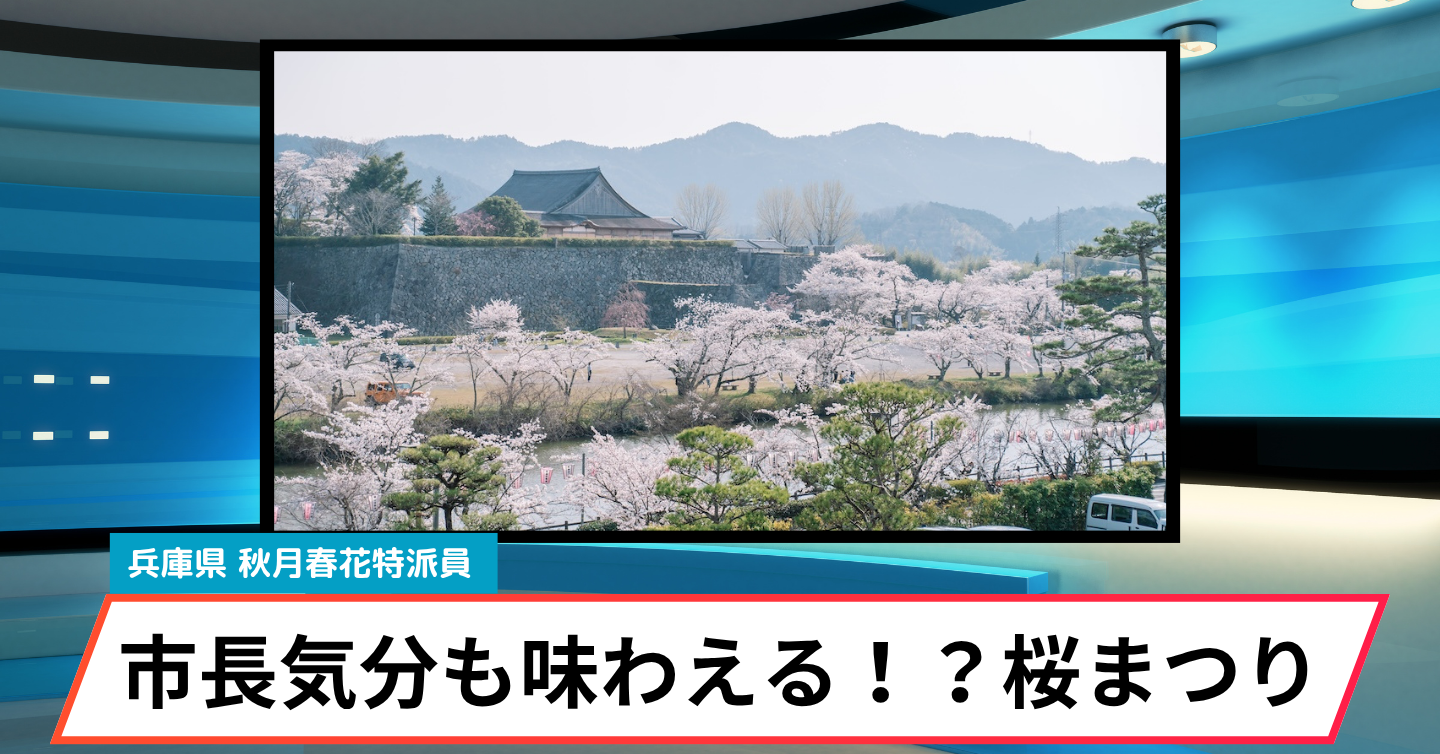 今年の春は「丹波篠山さくらまつり」へ。市長気分を体感できるイベントも！？