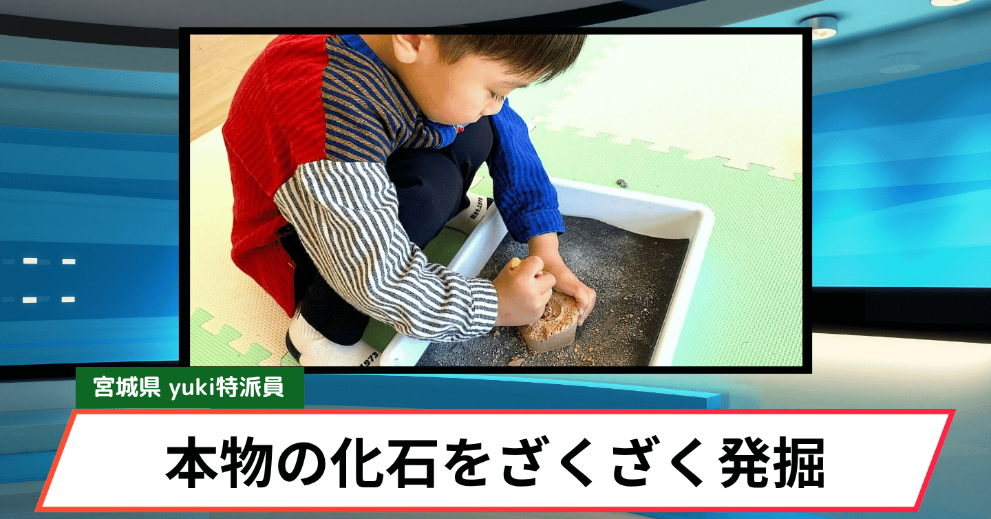 本物の化石をざくざく発掘！ 南三陸で誰でも研究者に