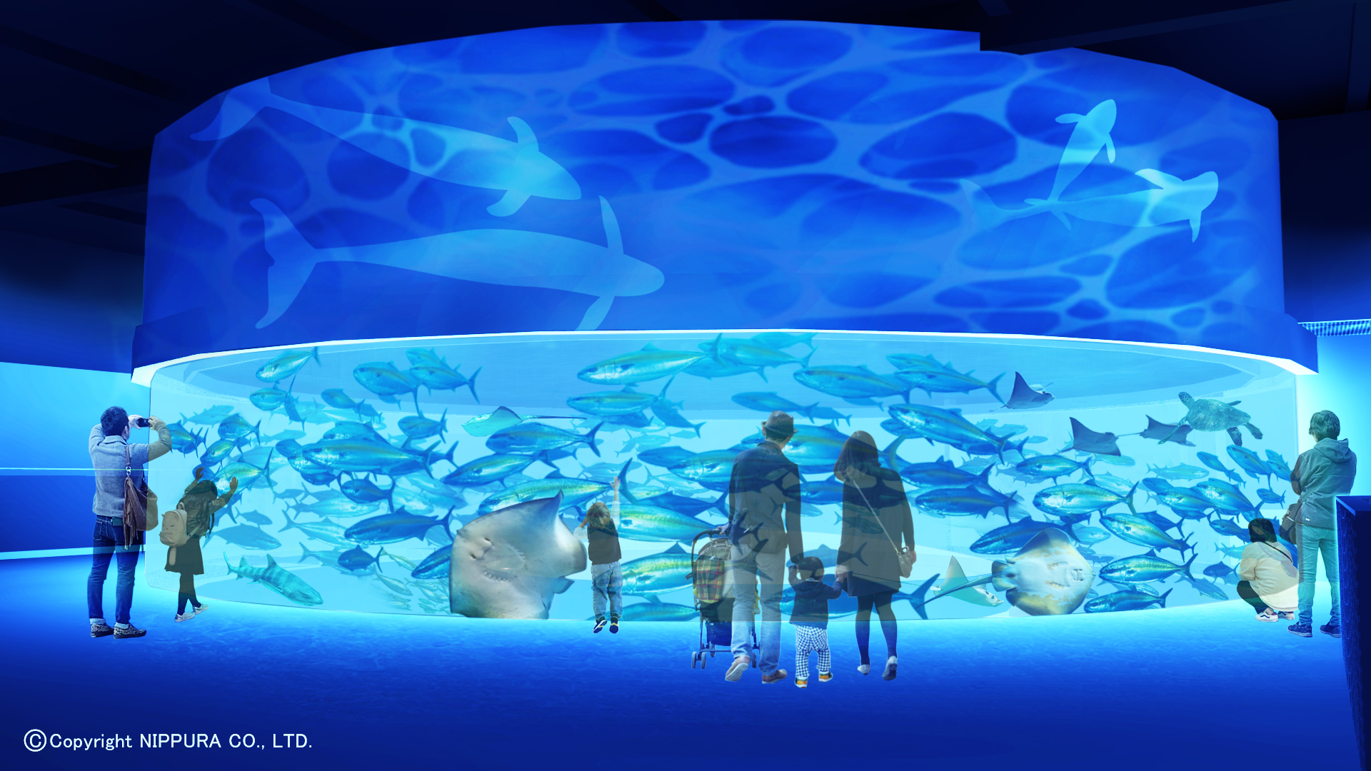 新屋島水族館の閉館危機はなぜ？噂の真相と現在の見どころ・料金を徹底解説