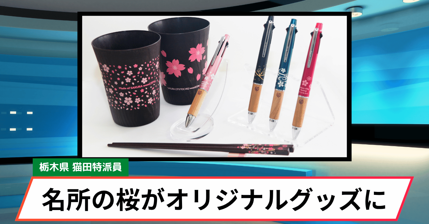 早乙女桜並木の伐採木を活用したオリジナルグッズ3選