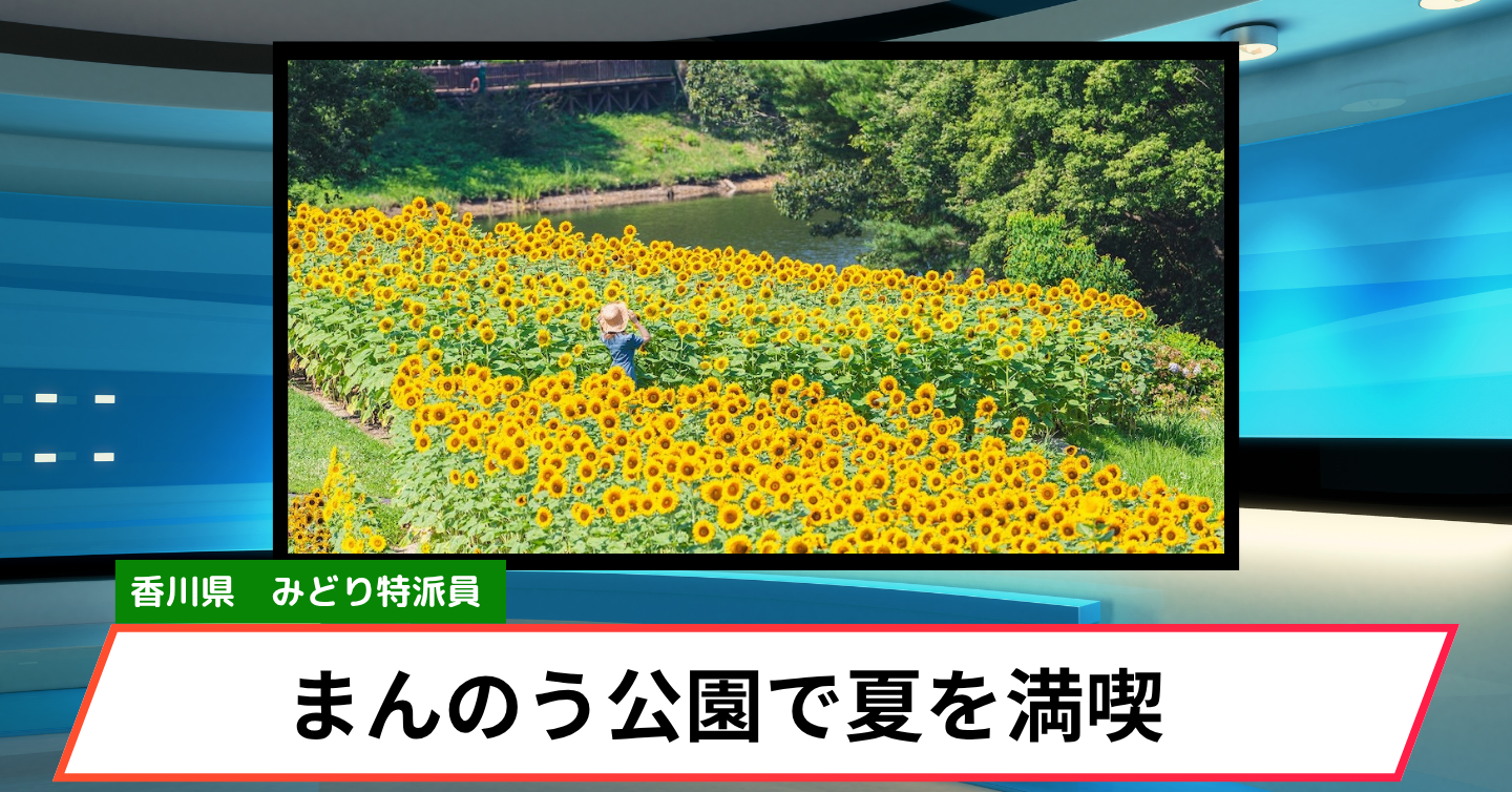 夏休みが最高に楽しくなる！ まんのう公園「サマーフェスタ」完全ガイド