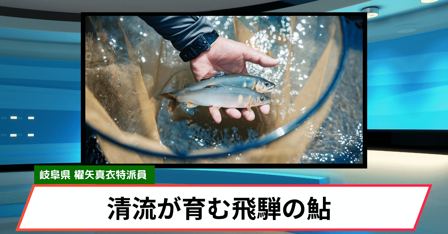 夏の風物詩、飛騨の鮎を堪能しよう！
