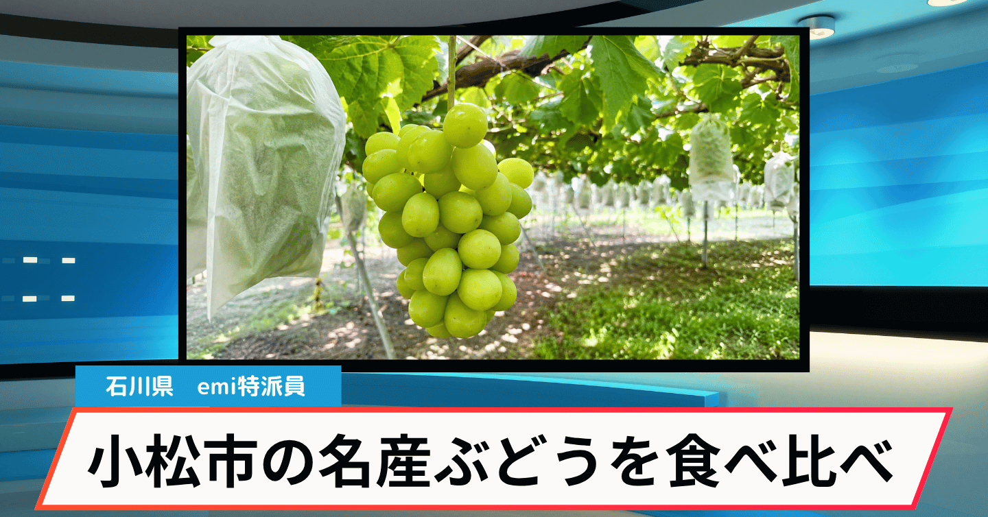フルーツ好き必見！ 老舗ぶどう園のシャインマスカットがふるさと納税返礼品に