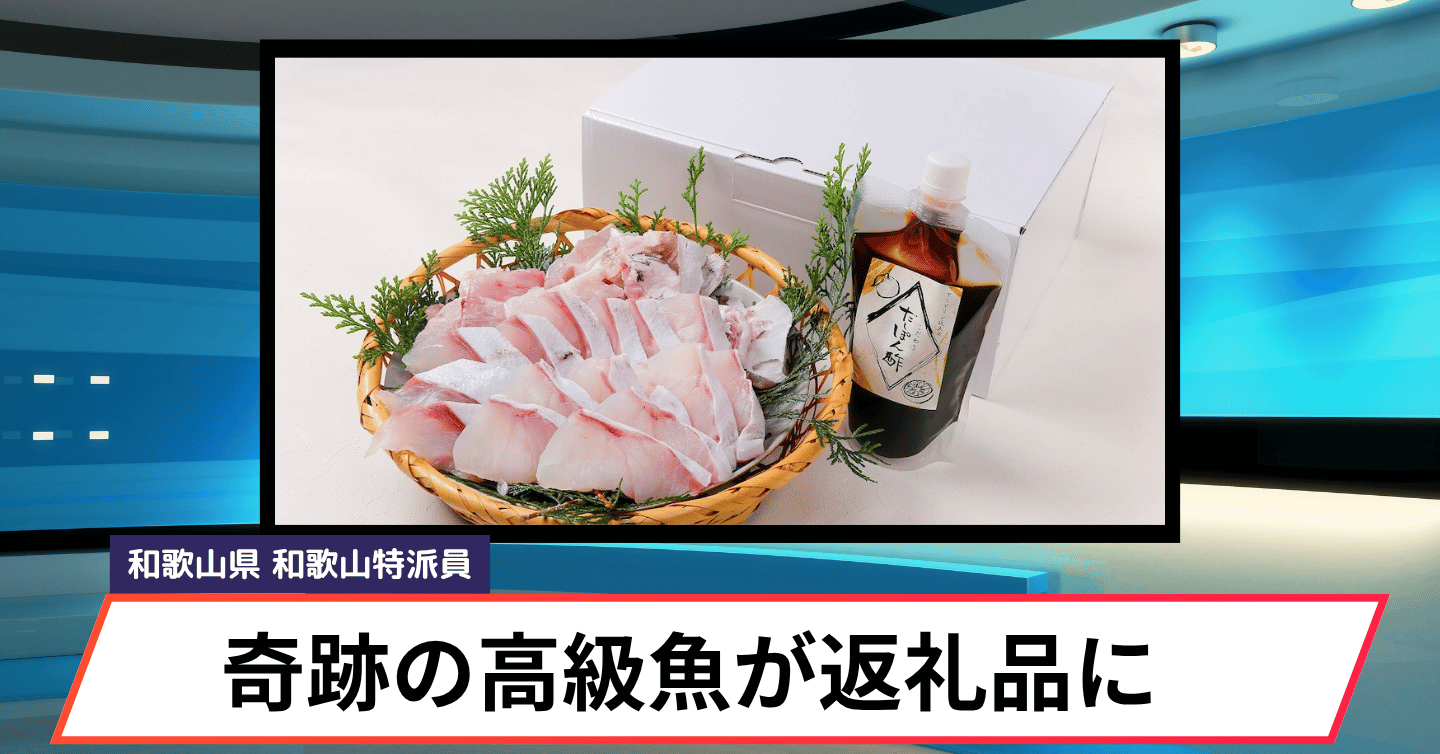 幻の高級魚とハタが合体！？ 白浜町のふるさと納税に「近大クエタマ」鍋セットが新登場