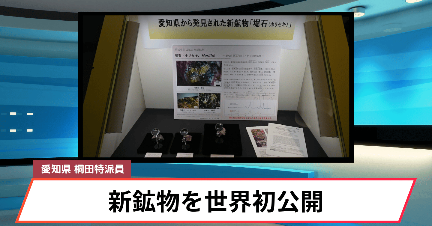 世界初公開！ 愛知県で4例目の新鉱物「堀石」豊橋市自然史博物館で展示スタート