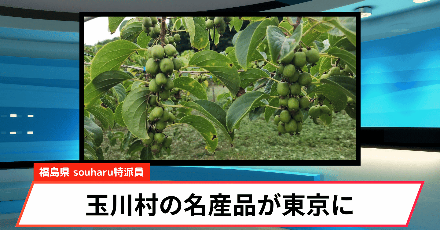 旬の「さるなし」が日本橋へ。福島・玉川村を味わう3日間