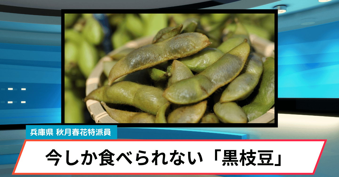 10月は丹波篠山でグルメ三昧！ 「幻の黒枝豆」も楽しめる味覚イベントをご紹介