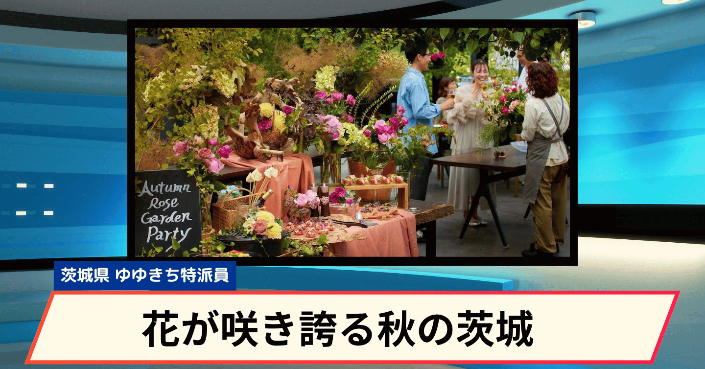 茨城の魅力がぎゅっと詰まった「珠玉の企画」。花、緑、結城紬を楽しむ特別な体験