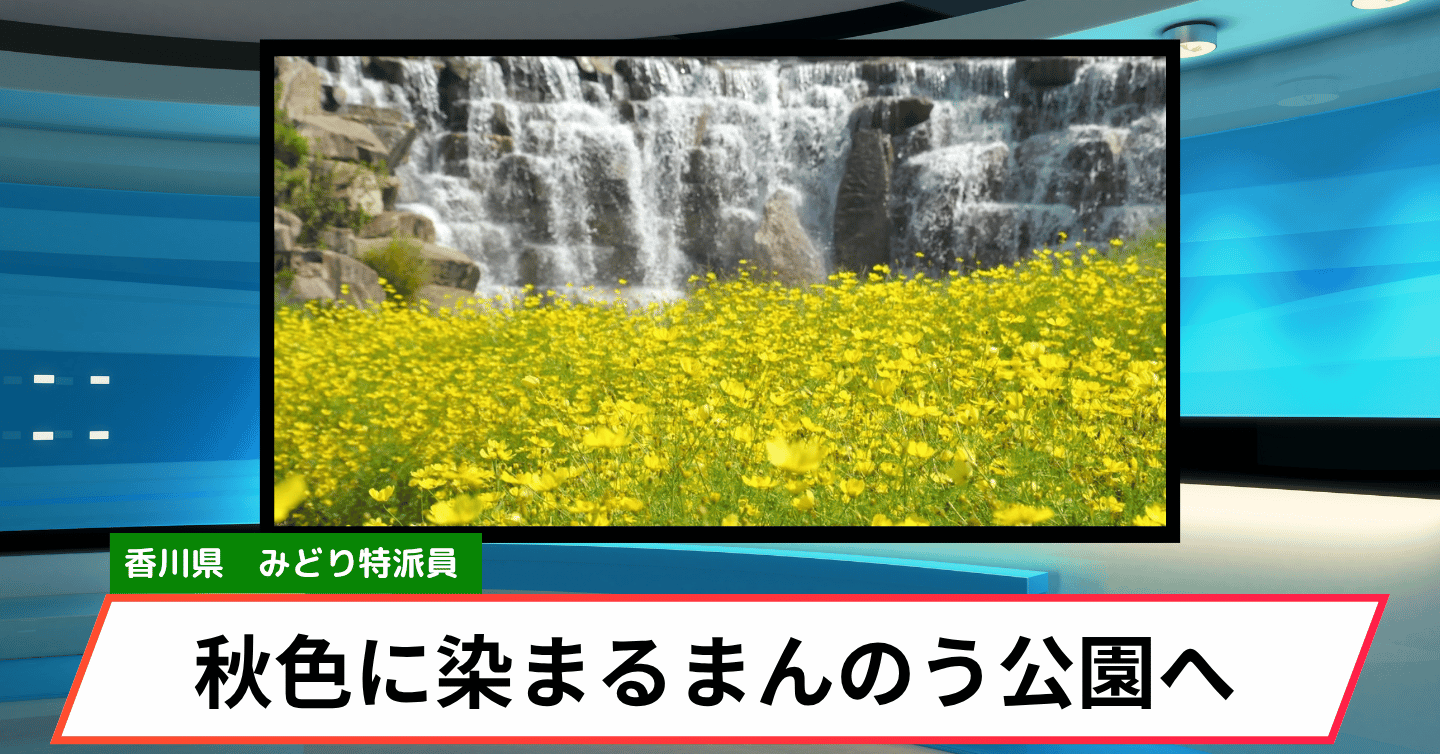 17万本のコスモスがお出迎え！ 秋色に染まる「まんのう公園」へ